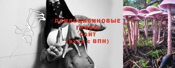 spice Мегион