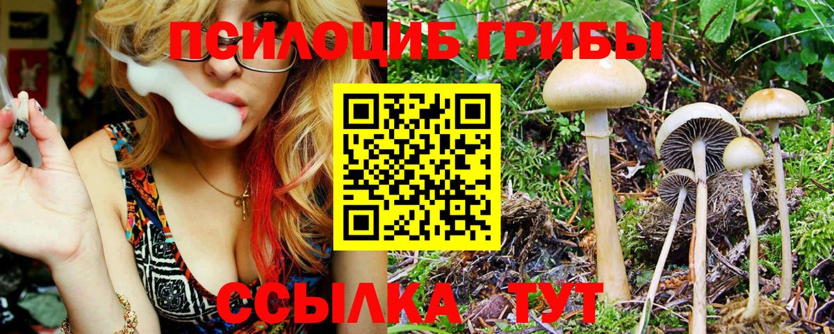 Минусинск  Псилоцибиновые грибы GOLDEN TEACHER  купить наркотик  Вход с VPN  Псилоцибиновые грибы MAGIC MUSHROOMS 