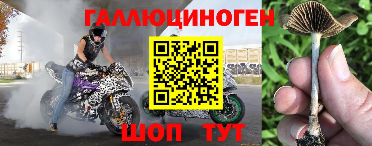 Псилоцибиновые грибы прущие грибы Минусинск